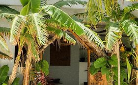 Dhiffushi Inn